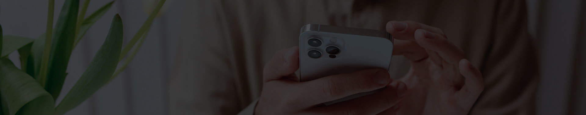 banner