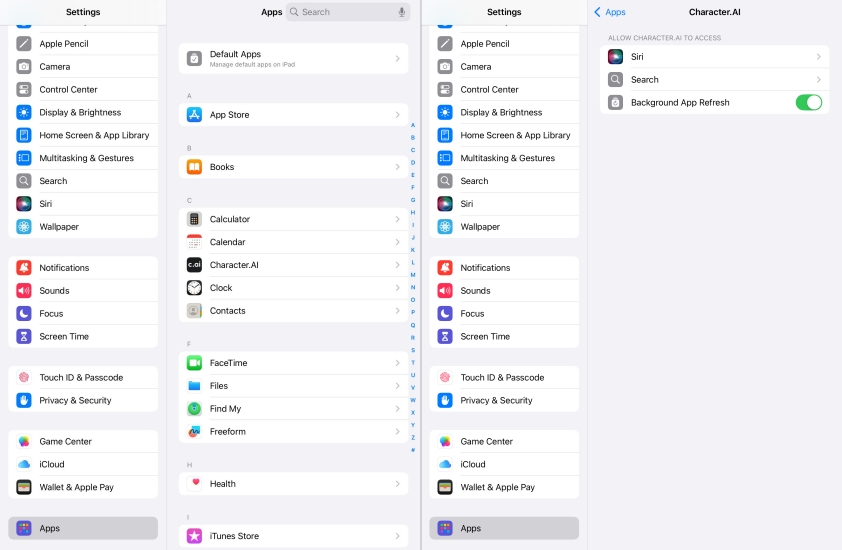 check app permission on ipad