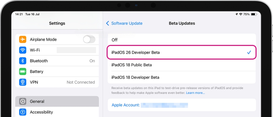 choose ipados 26 developer beta