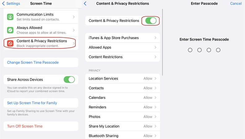 disable restrictions in ios 12