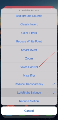 disable voiceover via accessibility shortcut