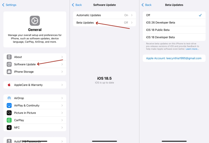 enable beta updates