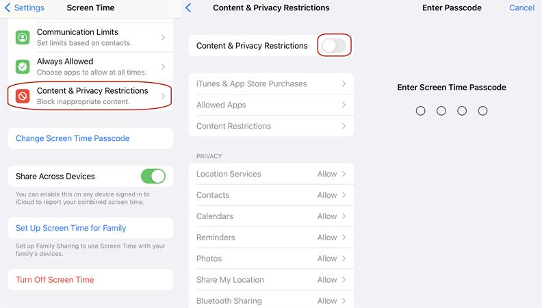 enable restrictions in ios 12