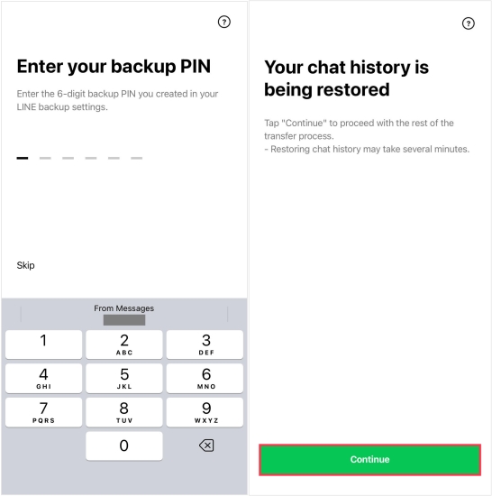 enter backup pin in line