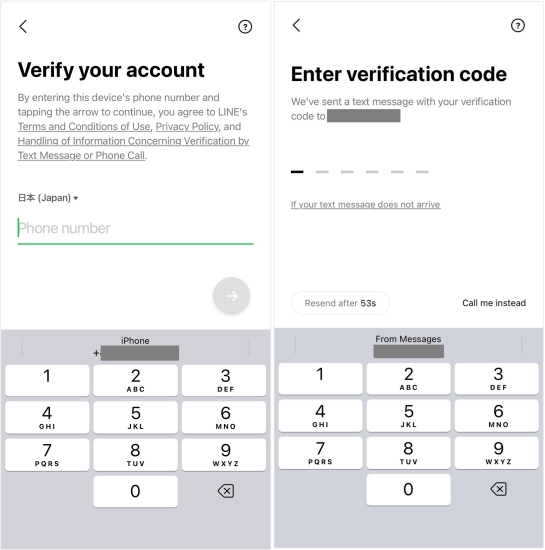 enter verification code in line