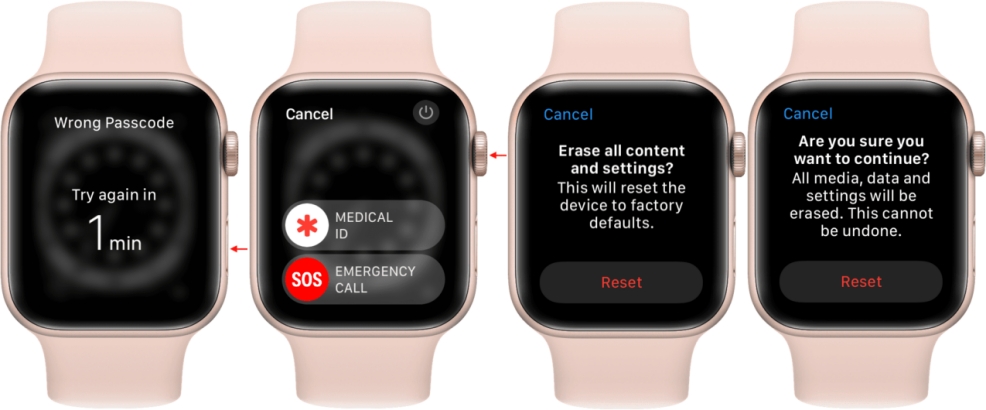 erase apple watch