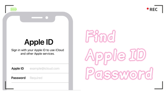 find Apple ID password