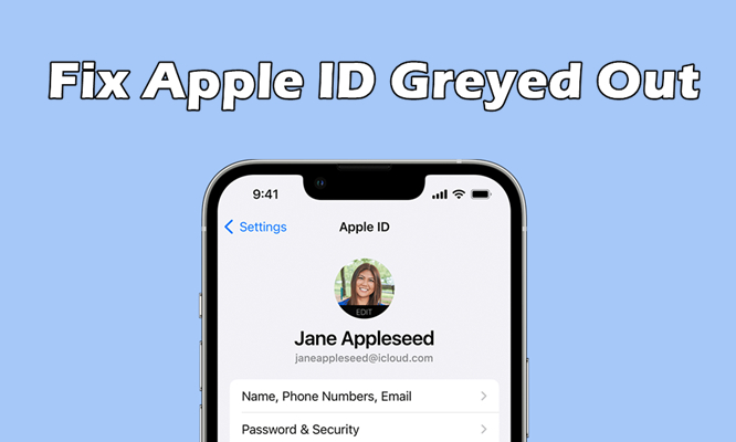 fix apple id greyed out
