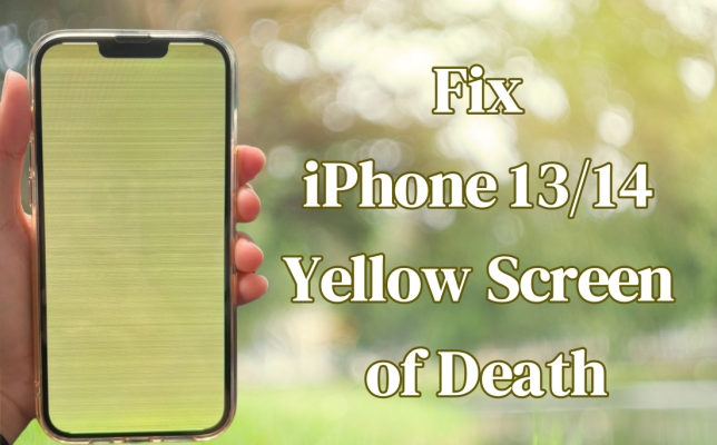 fix iphone yellow screen of death