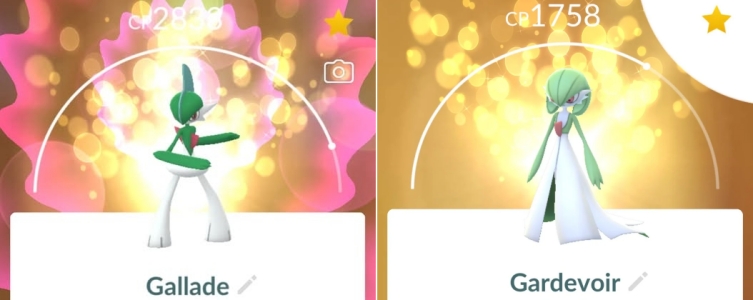 gallade vs gardevoir