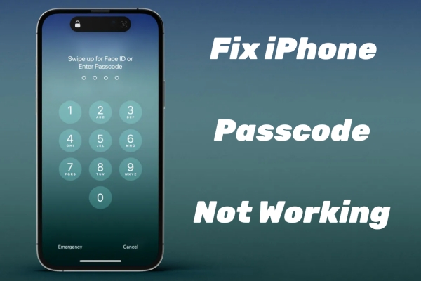 iphone passcode not working