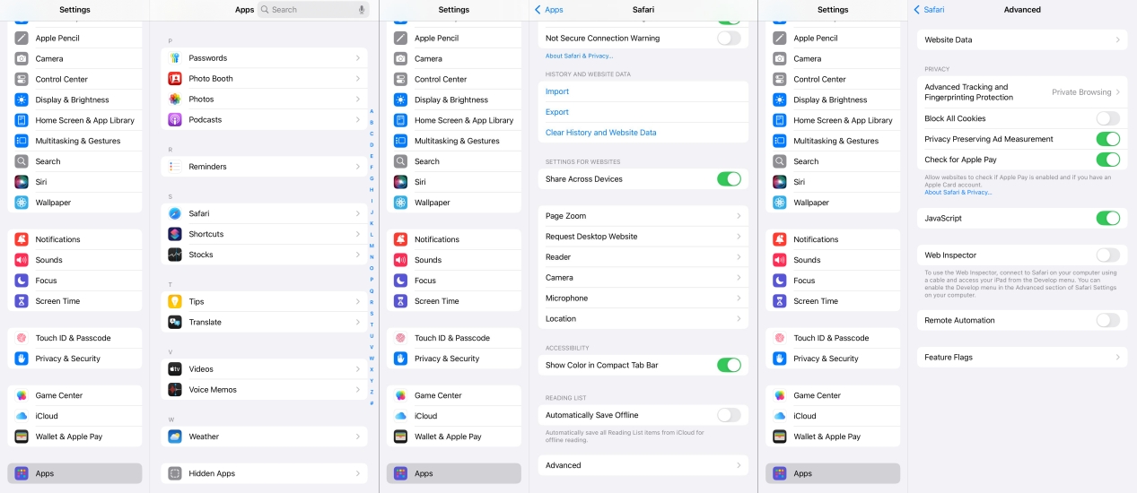 enable javascript in safari on ipad
