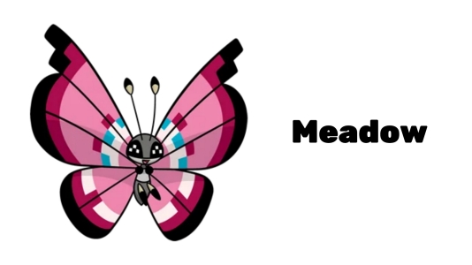 pokemon go vivillon meadow