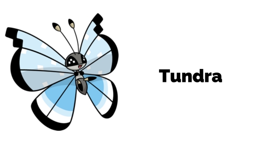 pokemon go vivillon tundra