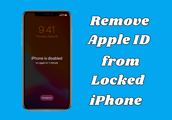 remove apple id from locked iphone