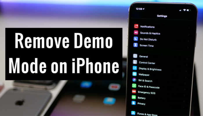remove iphone demo mode