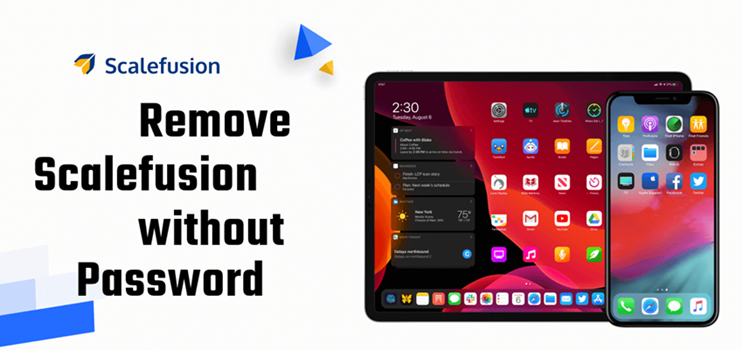 remove scalefusion without password