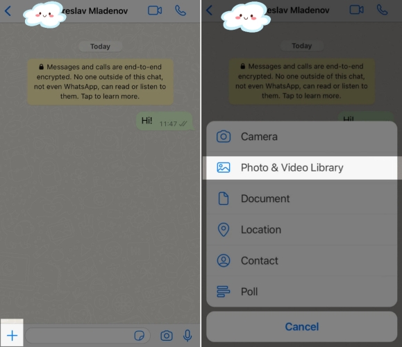 send files via whatsapp