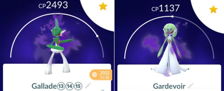shadow gallade vs shadow gardevoir