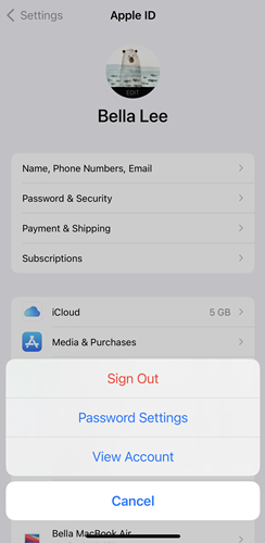 sign out app store on iphone