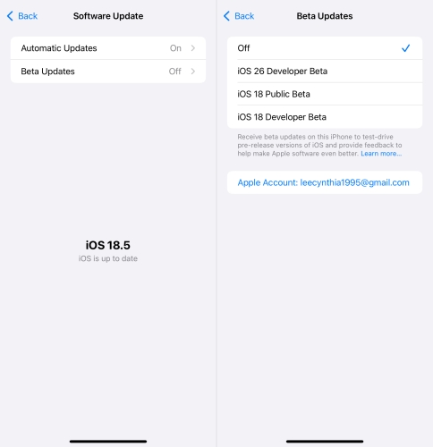 turn on ios 26 beta update