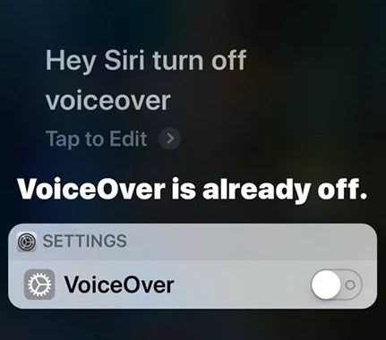 use siri to disable voiceover