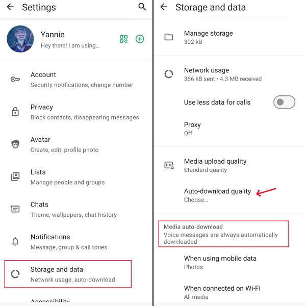 turn on whatsapp auto download on android