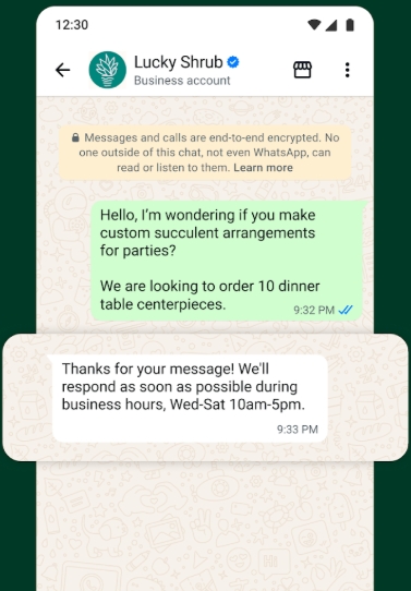 whatsapp business automated messaging