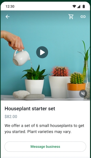 whatsapp business catalog