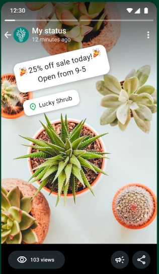 whatsapp business insights