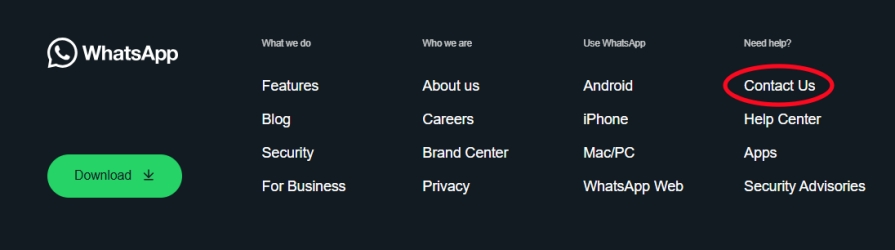 contact us on whatsapp