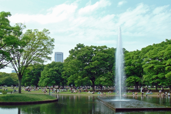 yoyogi park